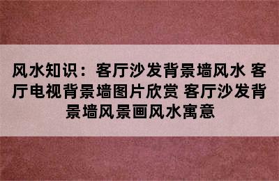 风水知识：客厅沙发背景墙风水 客厅电视背景墙图片欣赏 客厅沙发背景墙风景画风水寓意